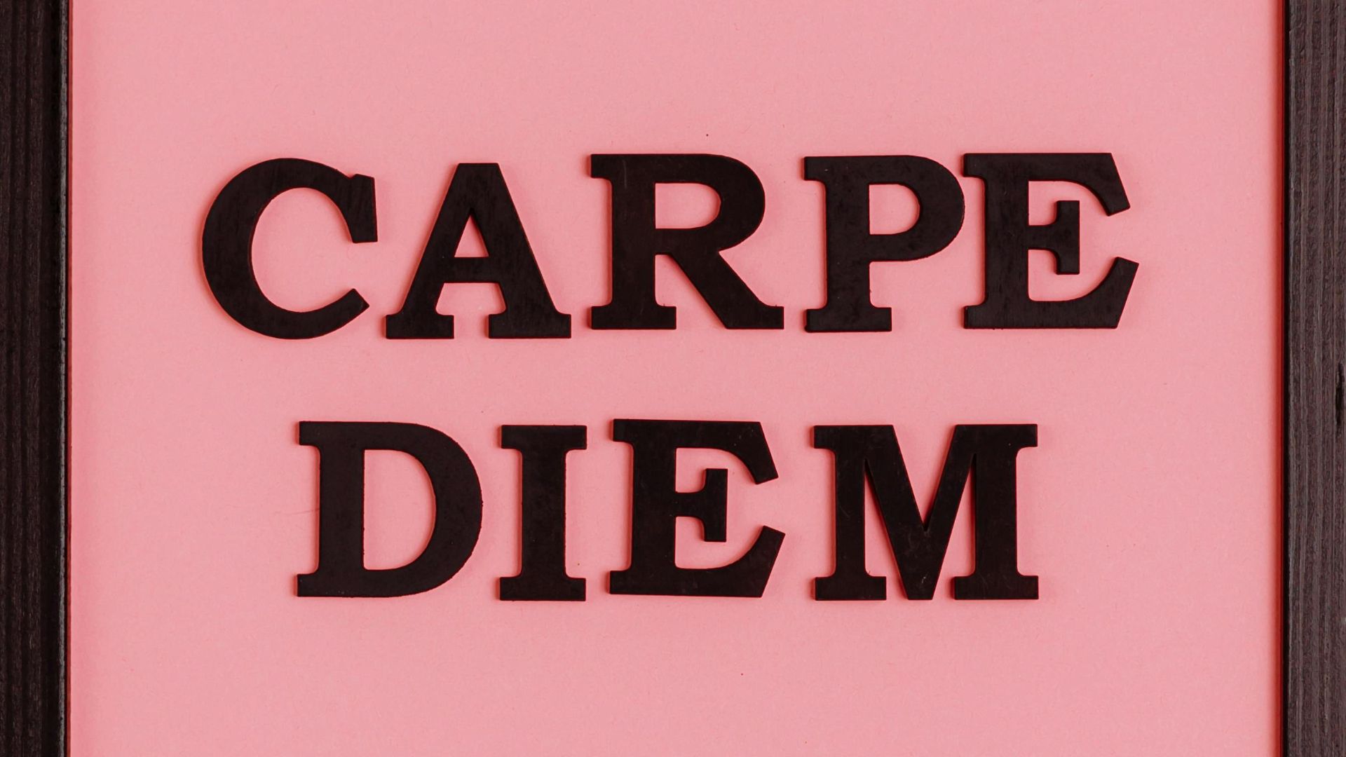 20 Expressions latines courantes &amp; leurs origines anciennes