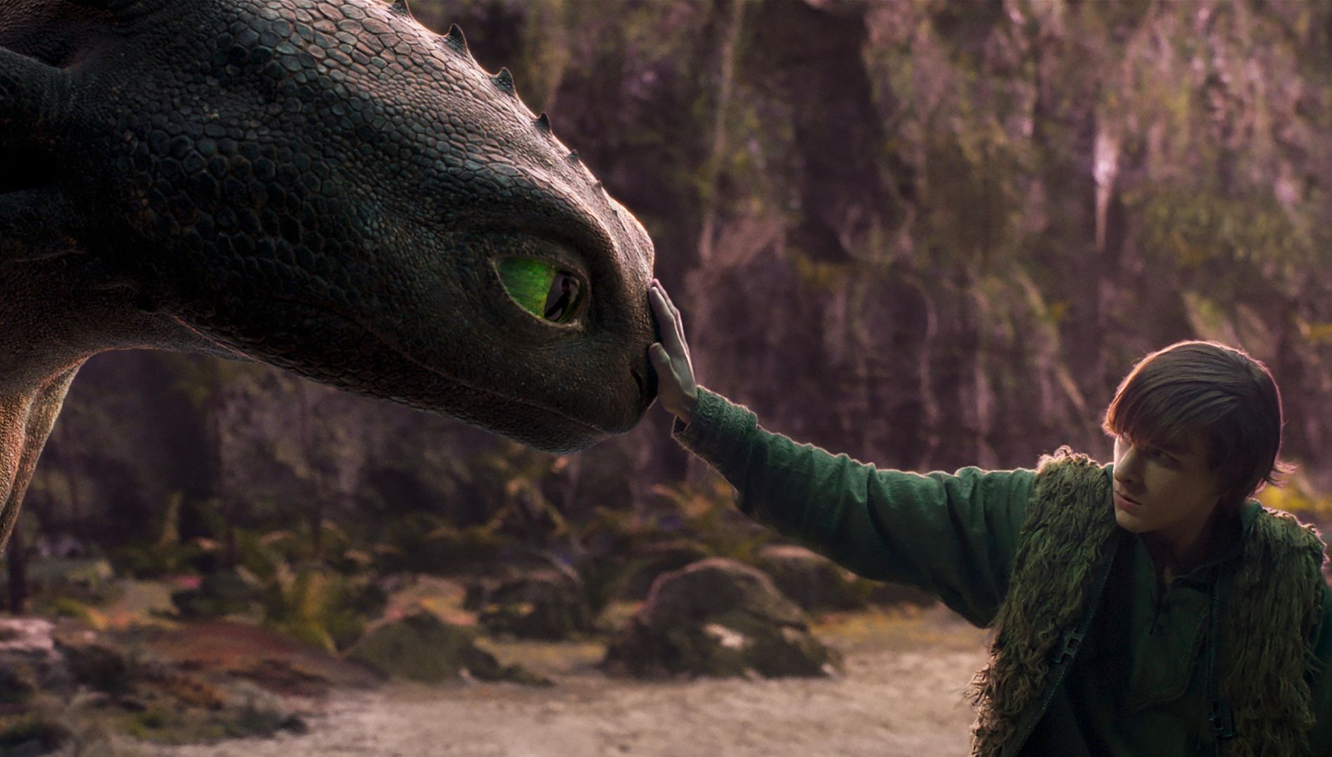 How To Train Your Dragon