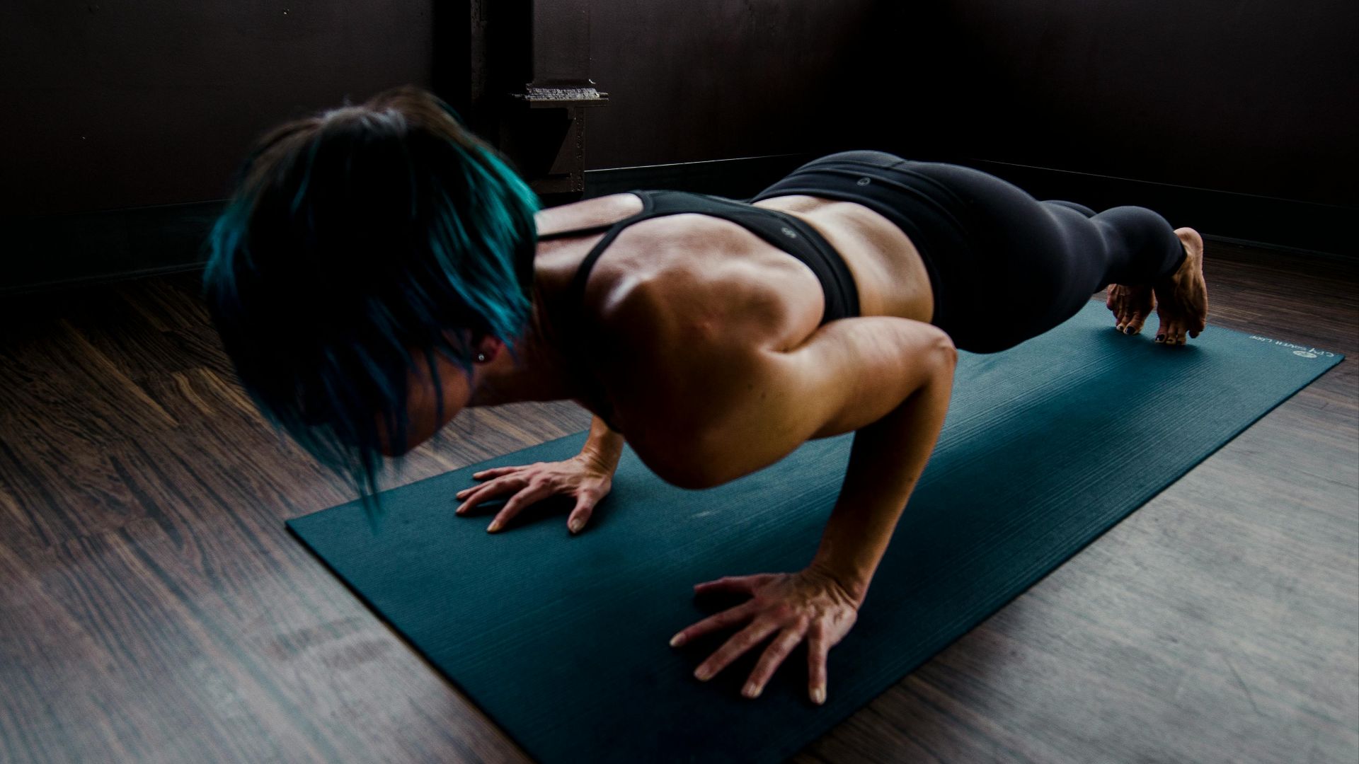 18. Planche quadrupède ISO