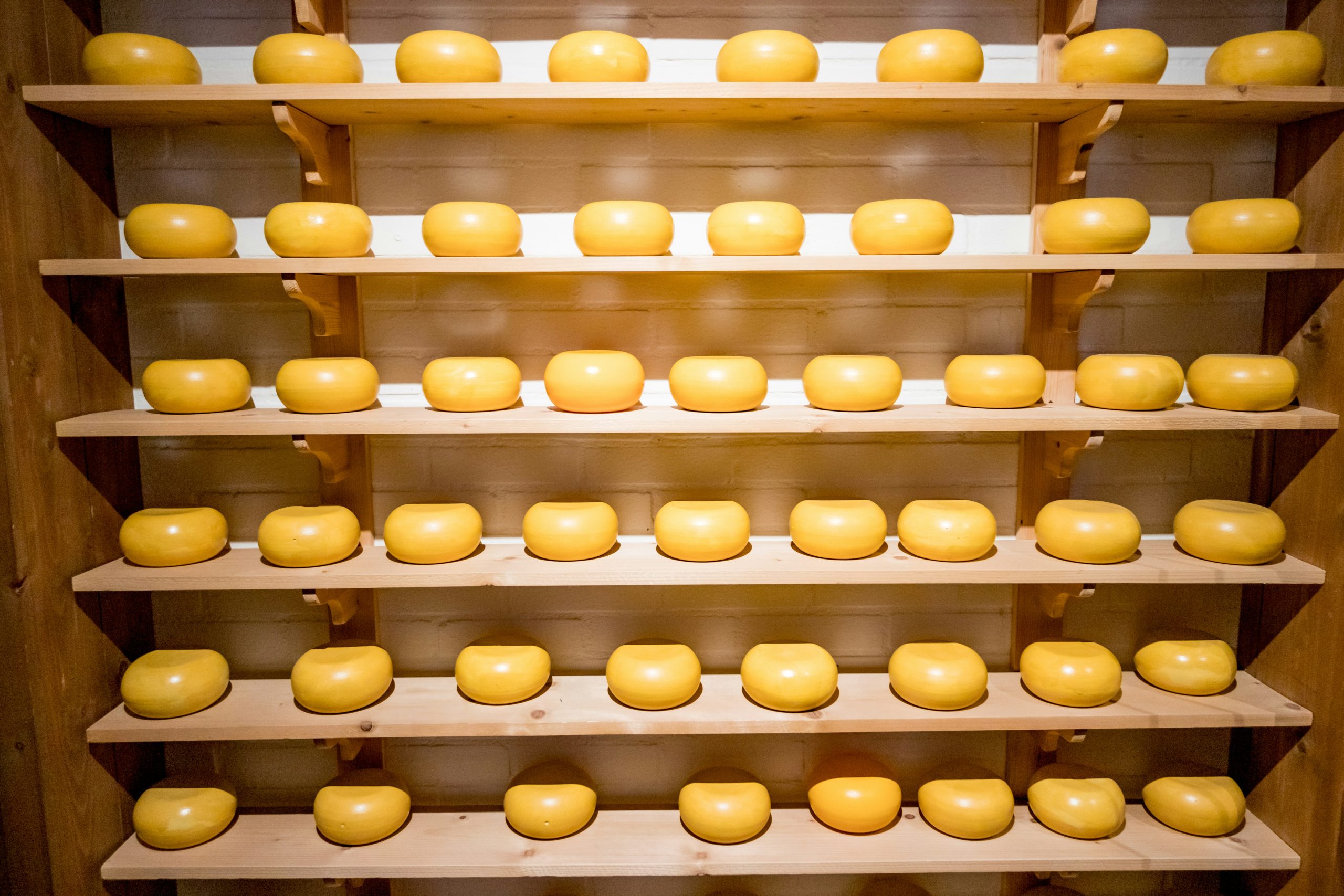 Les fromages de tous types