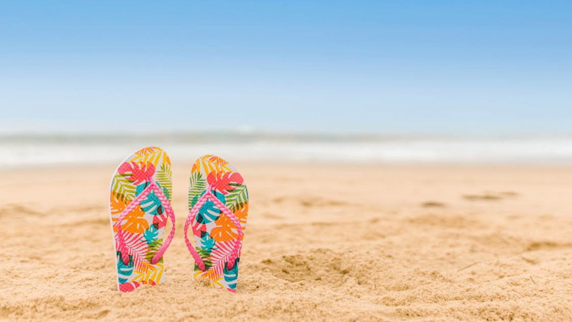 Flip Flops Or Beach Footwear