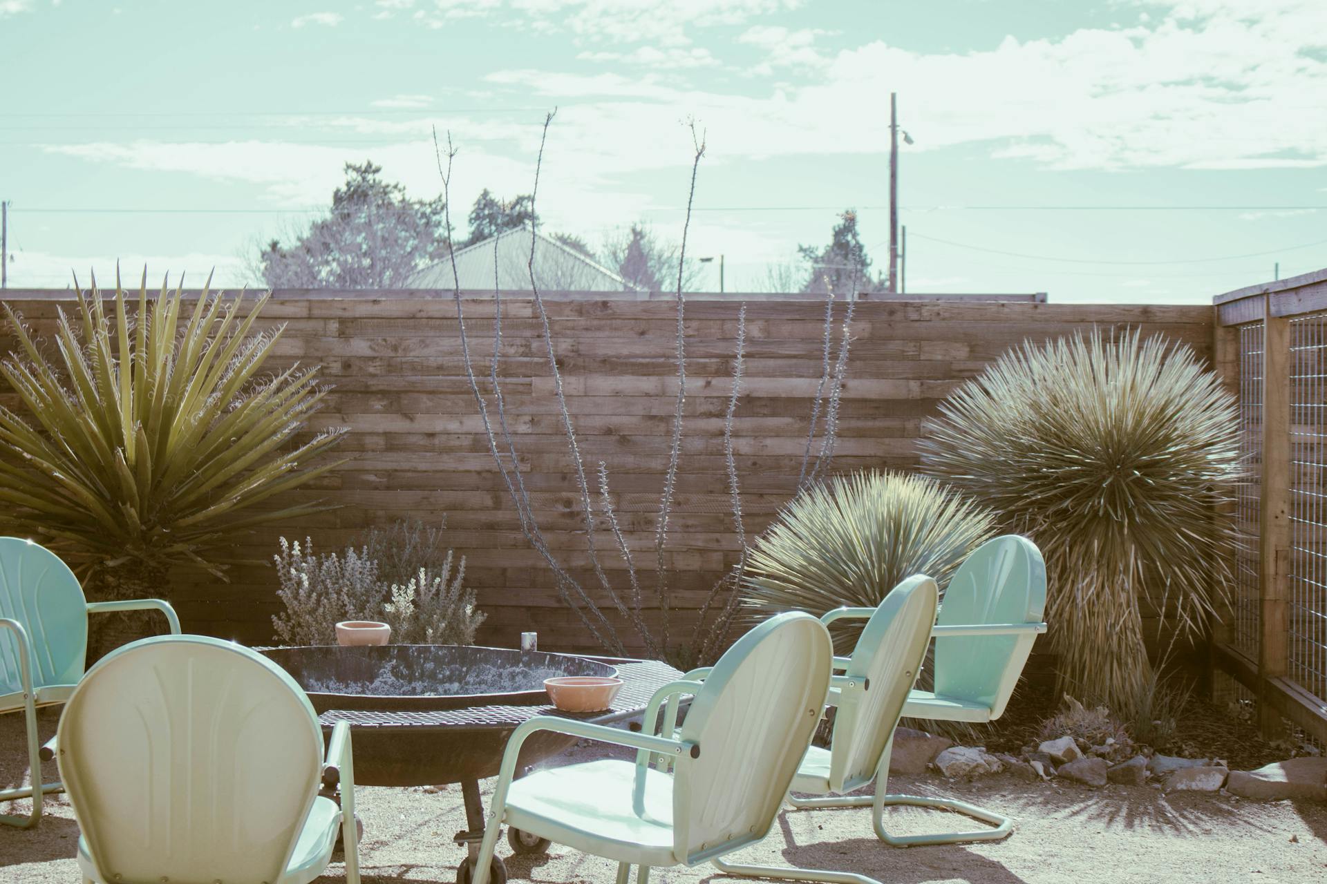 Shaded Desert Patio With Succulents And Loungers