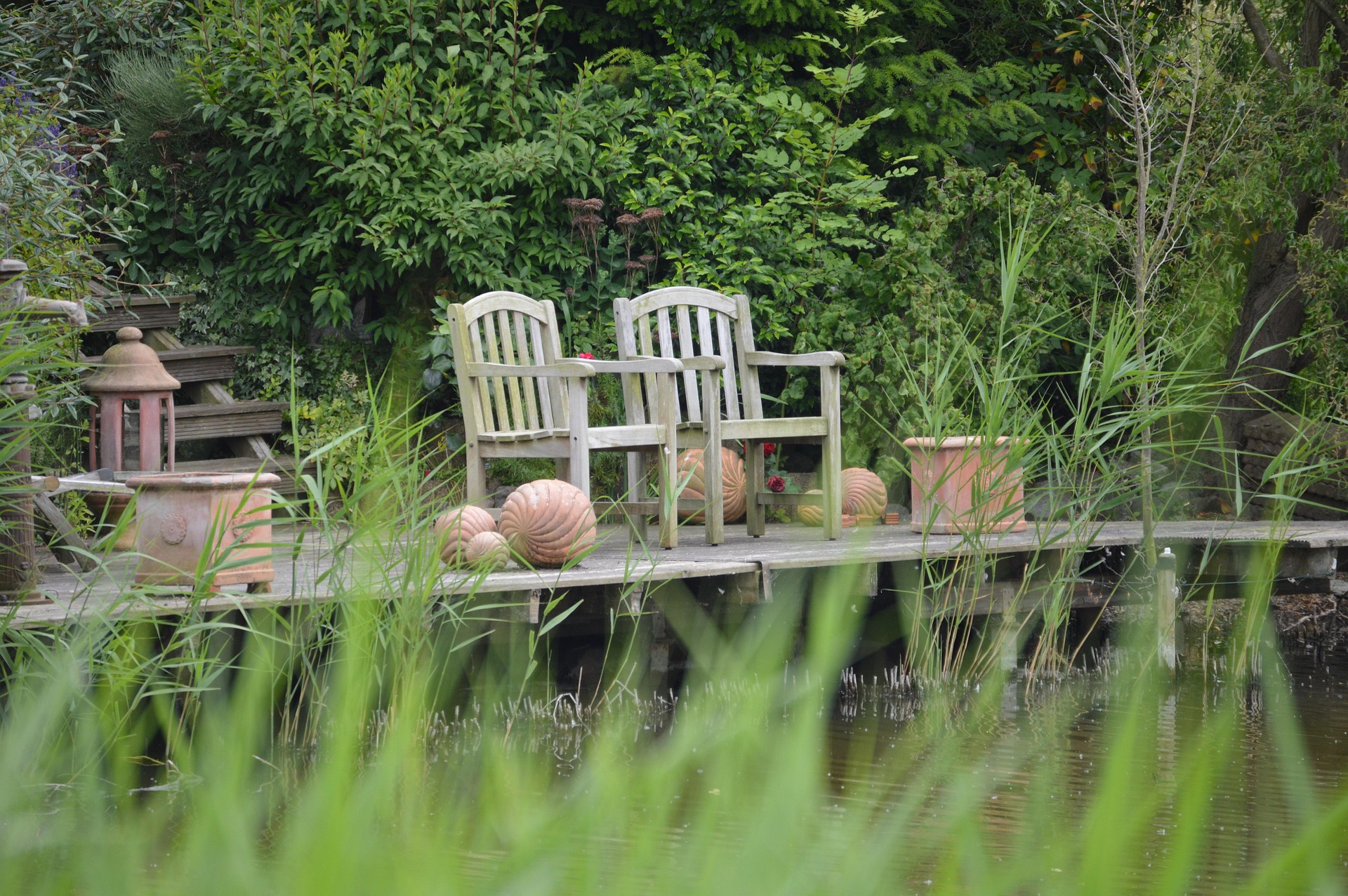 Bug-Heavy Patio With Stagnant Water Nearby