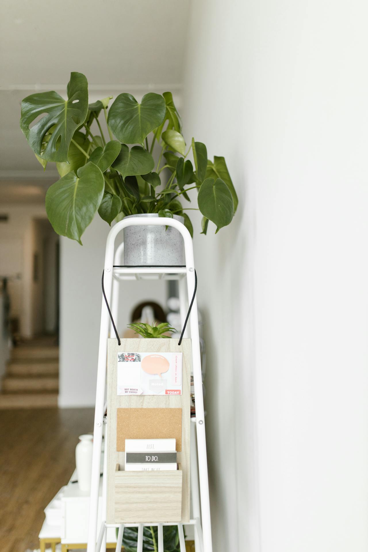 Corner Ladder Shelf Office