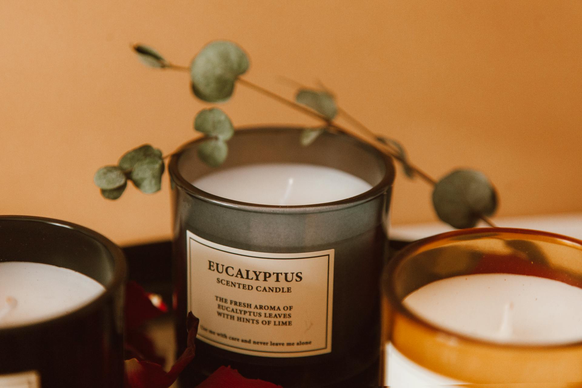 Eucalyptus