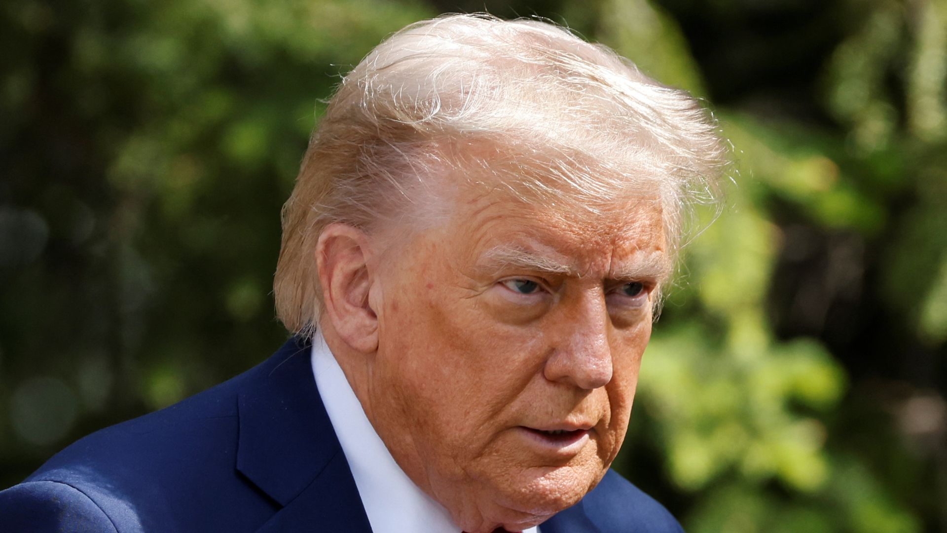«the border is miraculously perfect»
