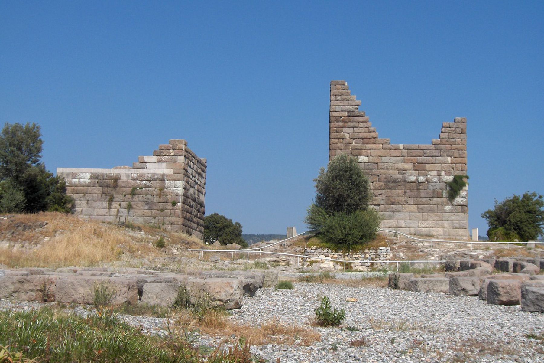 Siege Of Halicarnassus