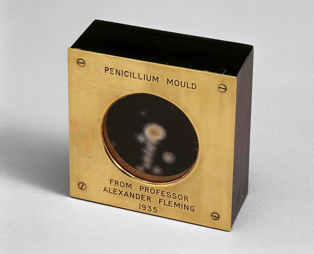 Penicillin