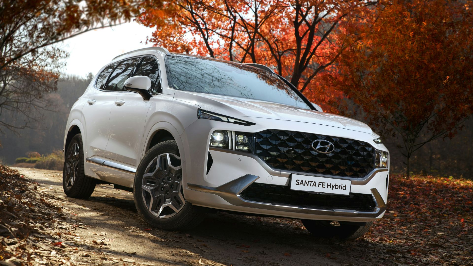 7. Hyundai