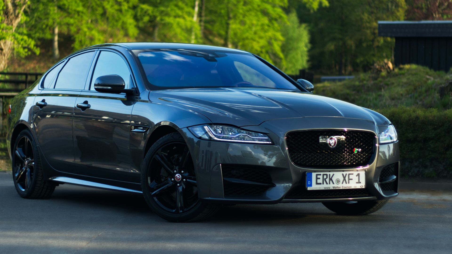 6. Jaguar