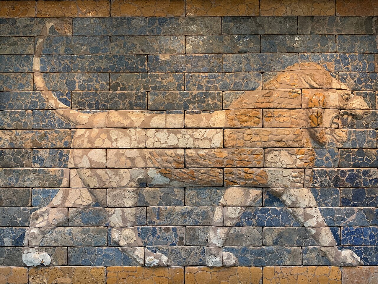 The Lion
