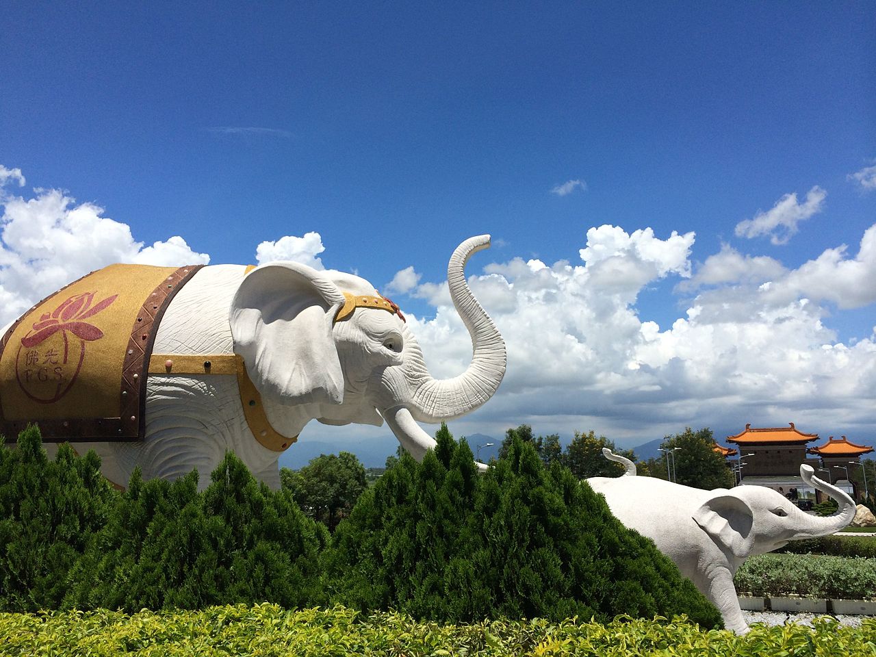 The White Elephant