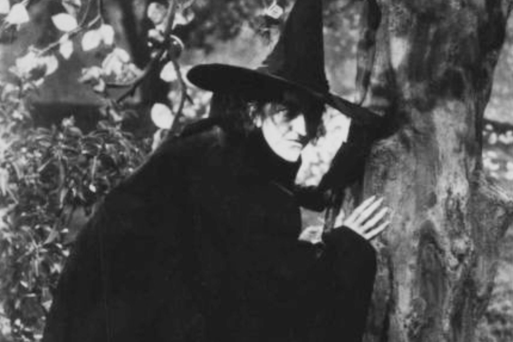 The Wicked Witch Of The West