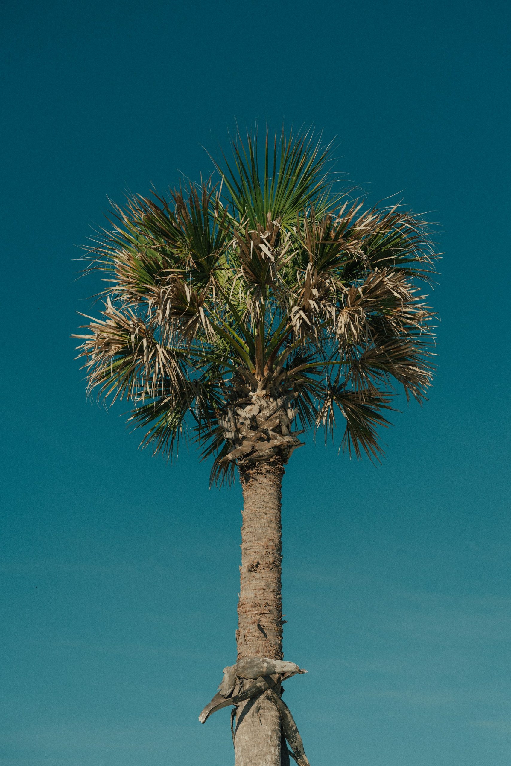 7. St. Augustine, Florida