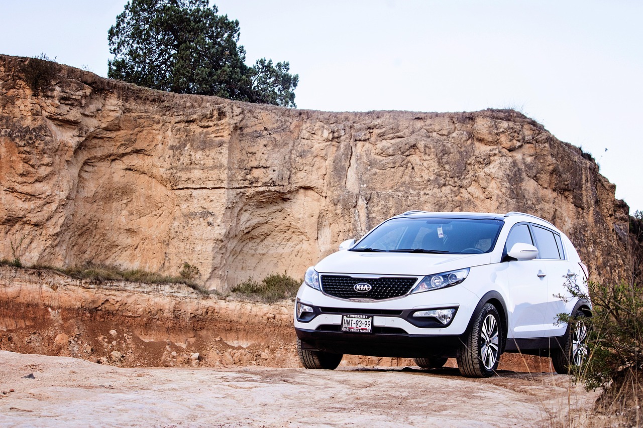11. Kia Sorento