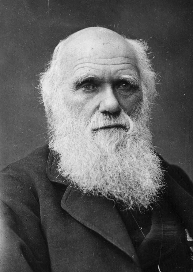 “I’m Not The Least Afraid To Die." By Charles Darwin