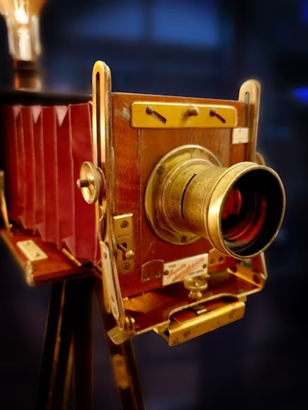 11. La photographie