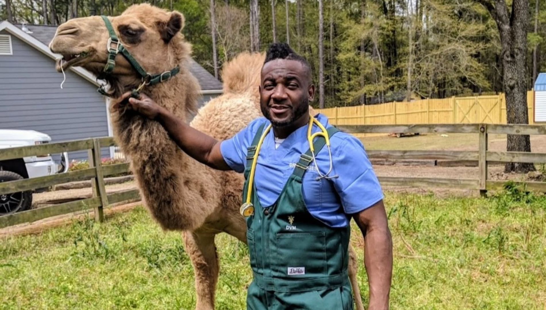 Critter Fixers: Country Vets (saison 6)