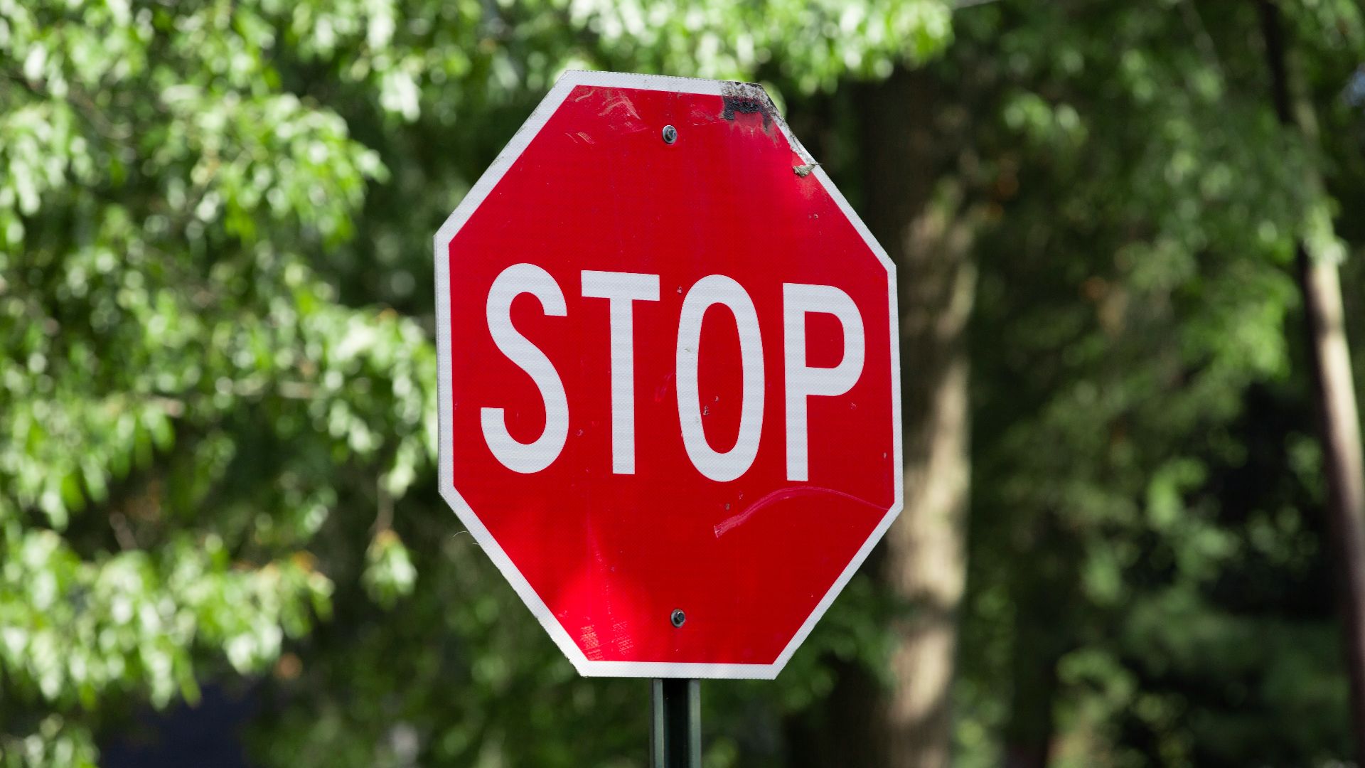 3. Vous respectez le droit de passage et la signalisation