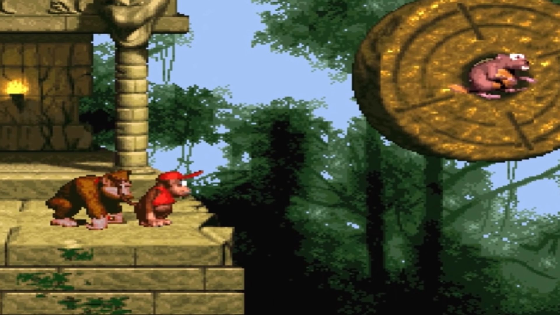6. Donkey Kong Country
