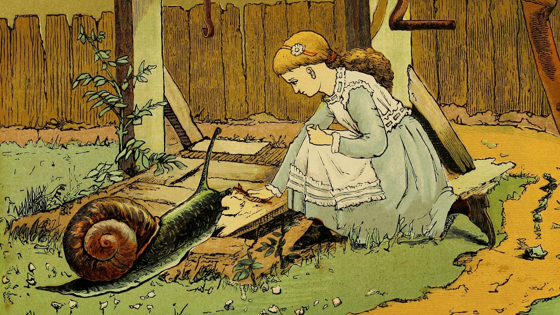 4. Bachelor of Fine Arts en art de la bande dessinée