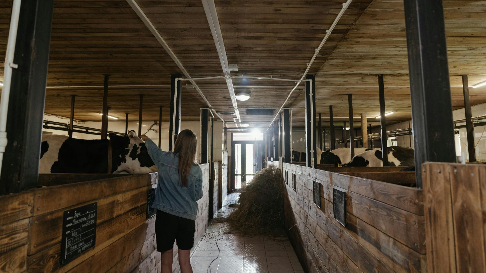 12. Licence en science et gestion de l'alimentation animale