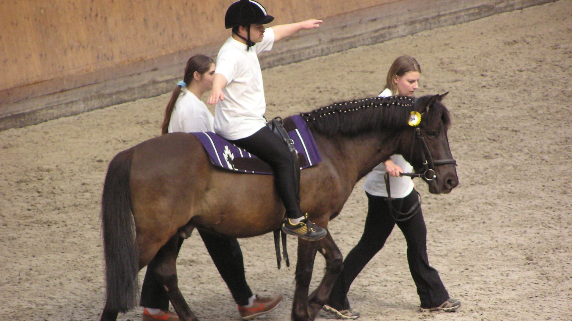 16. Bachelor of Science en équitation thérapeutique