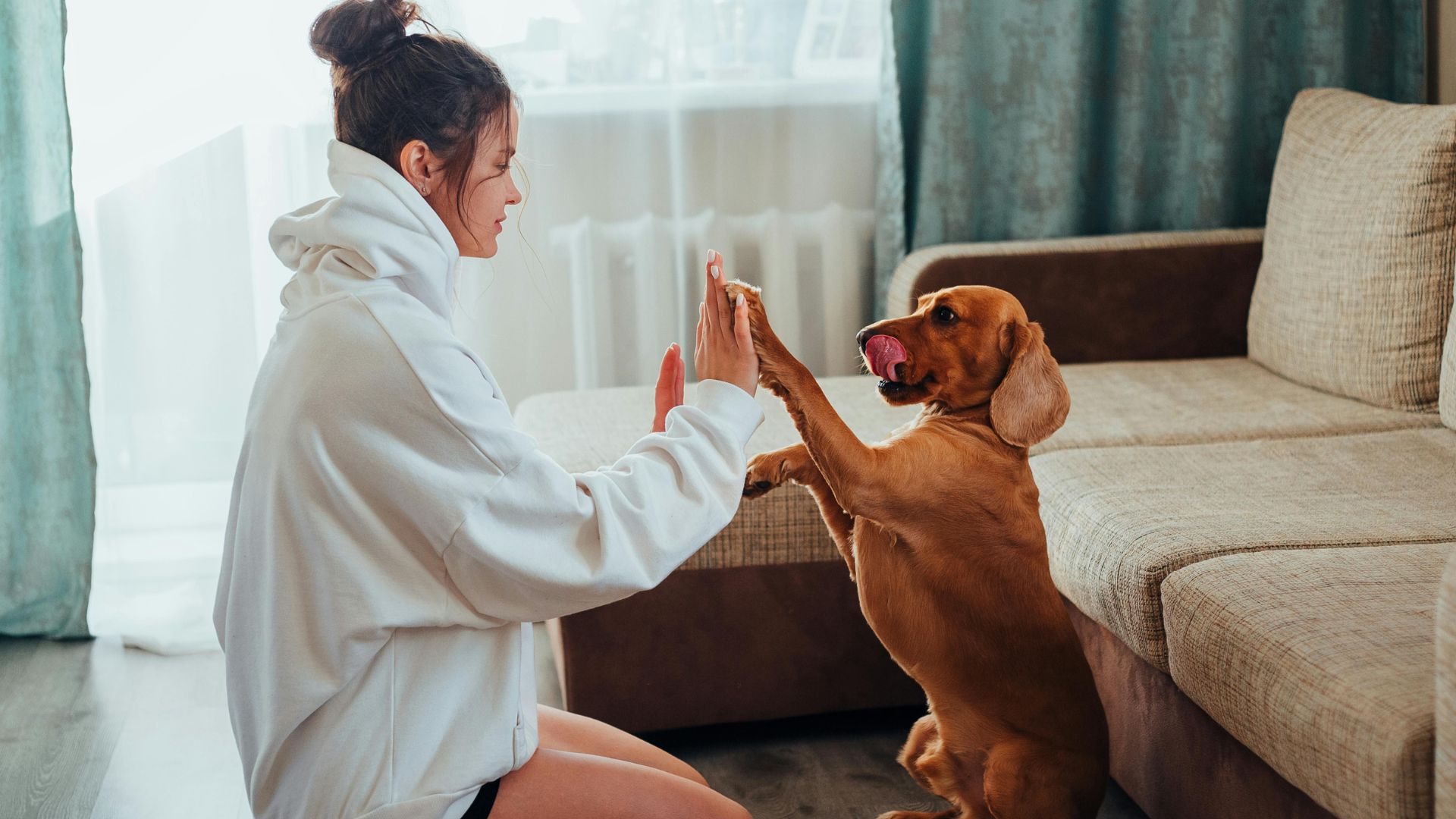13. Jouez avec votre animal de compagnie