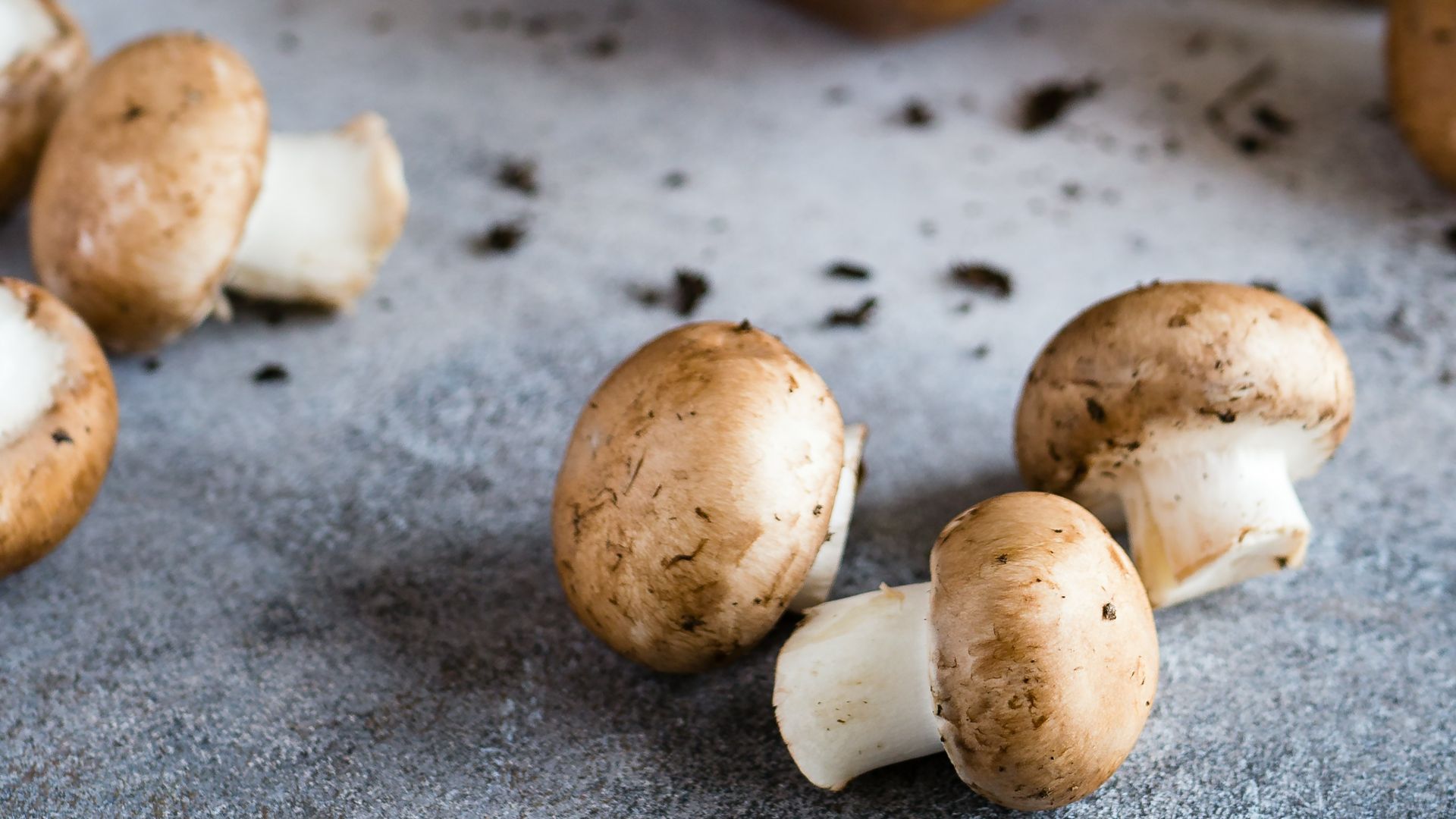 Champignons