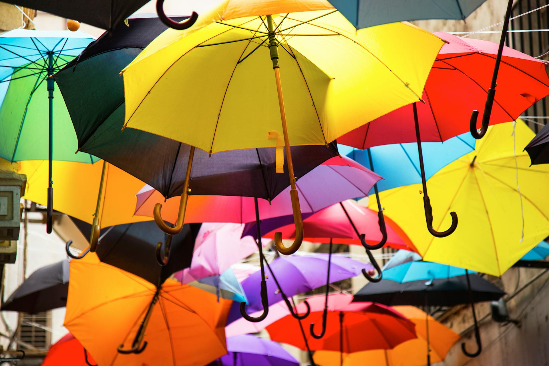 Parapluies