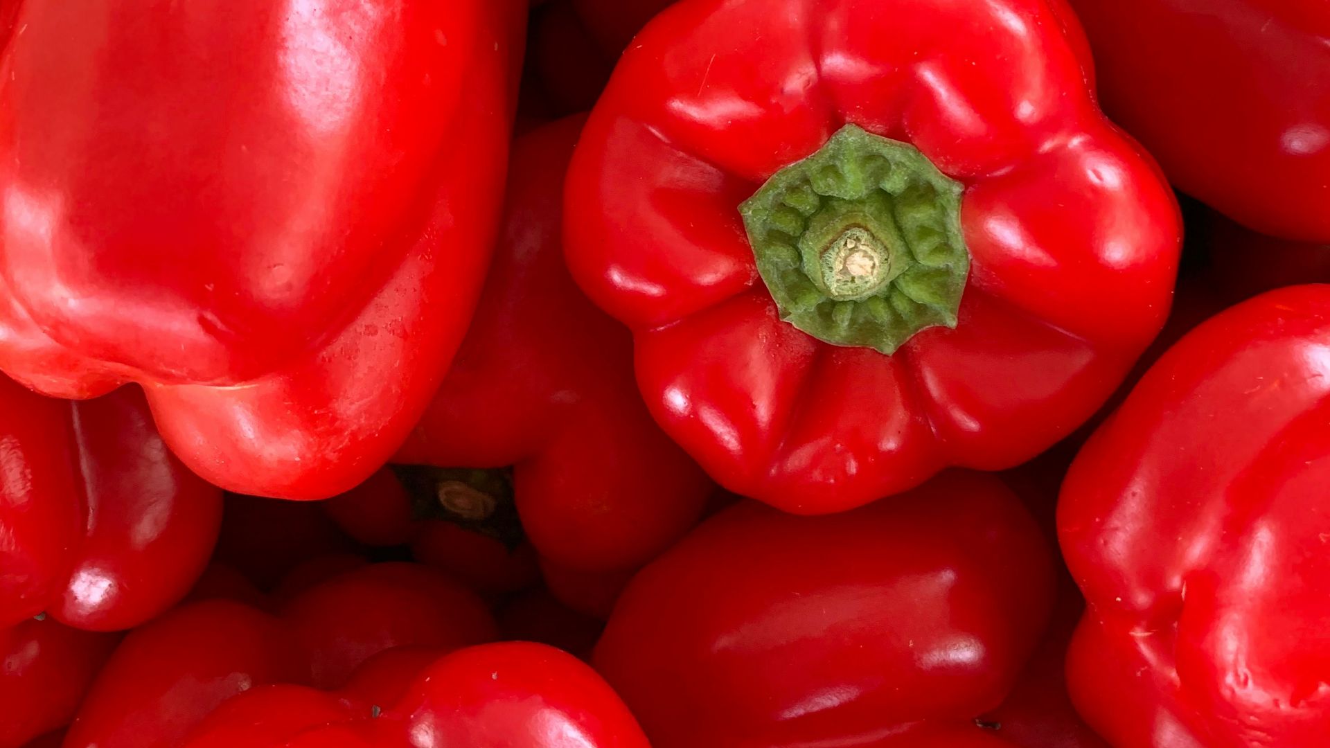 15. Poivrons rouges