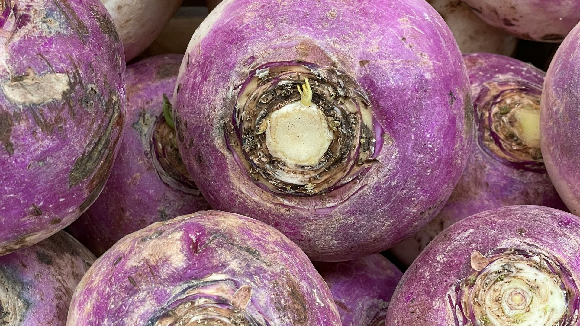 14. Pommes de terre violettes