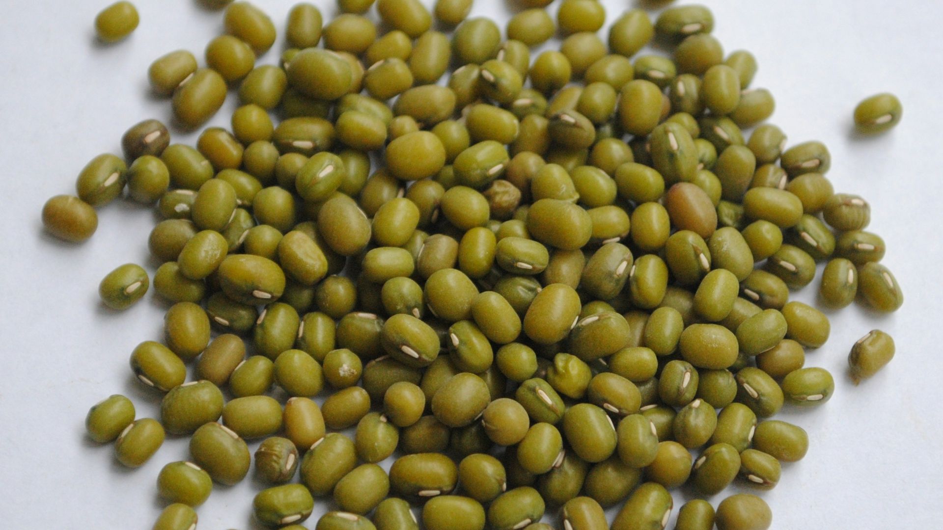 19. Haricots mungo