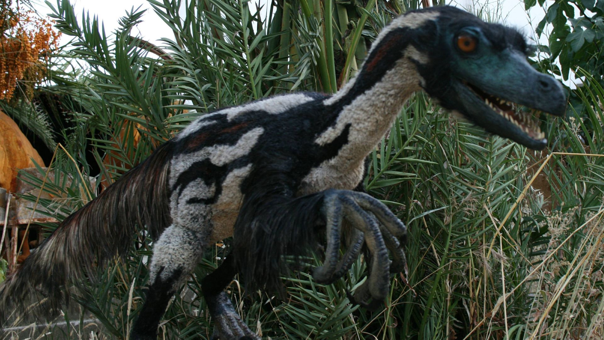 2. Vélociraptor