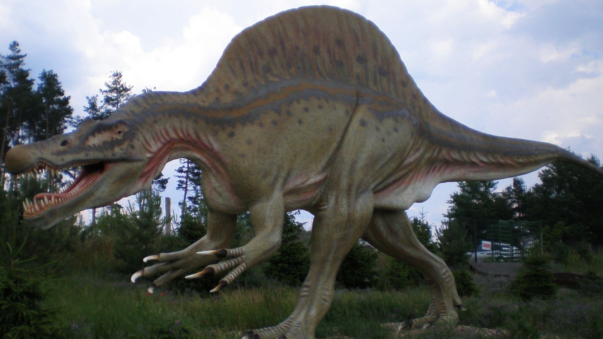 3. Spinosaurus