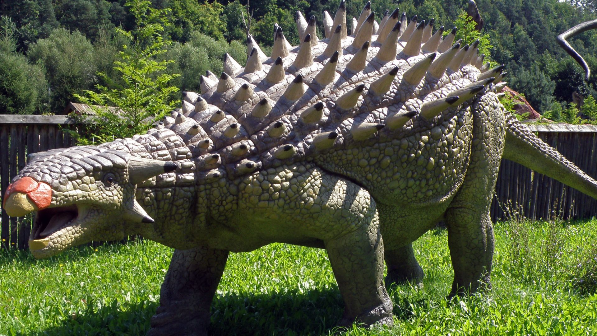 6. Ankylosaure