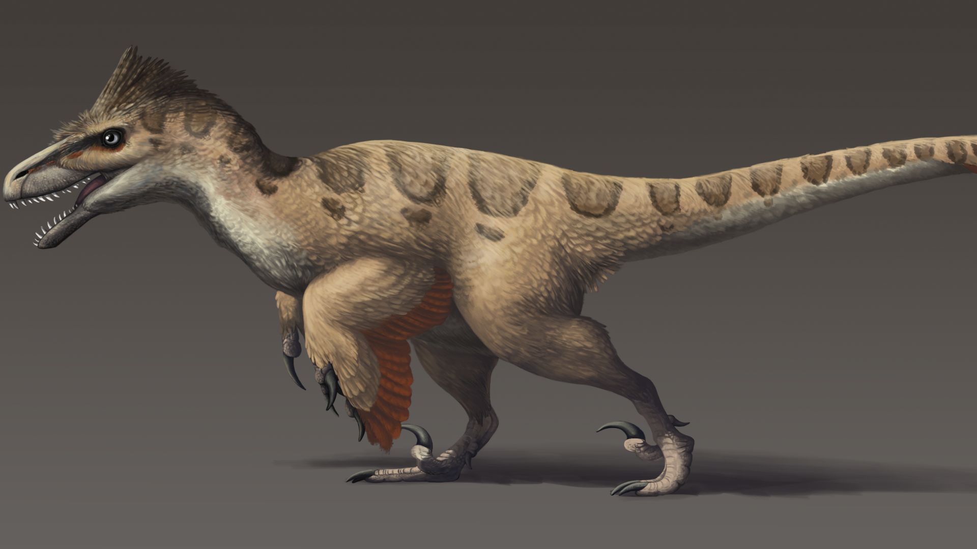 9. Utahraptor