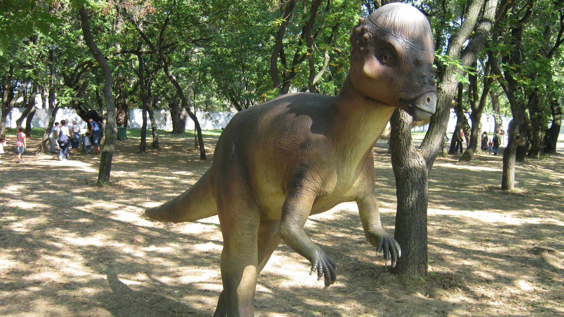 10. Pachycephalosaurus