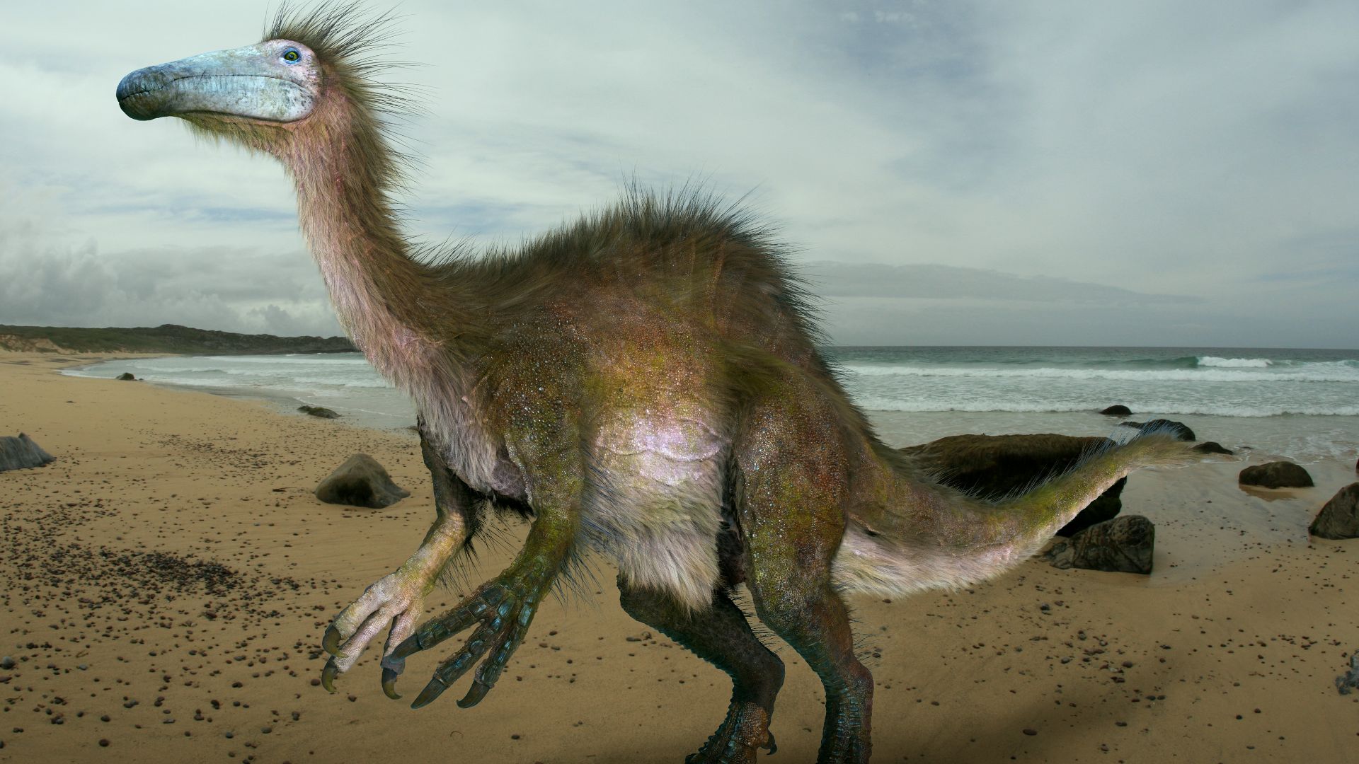 13. Deinocheirus