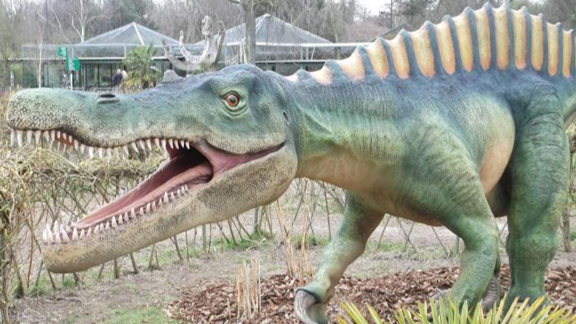 18. Suchomimus
