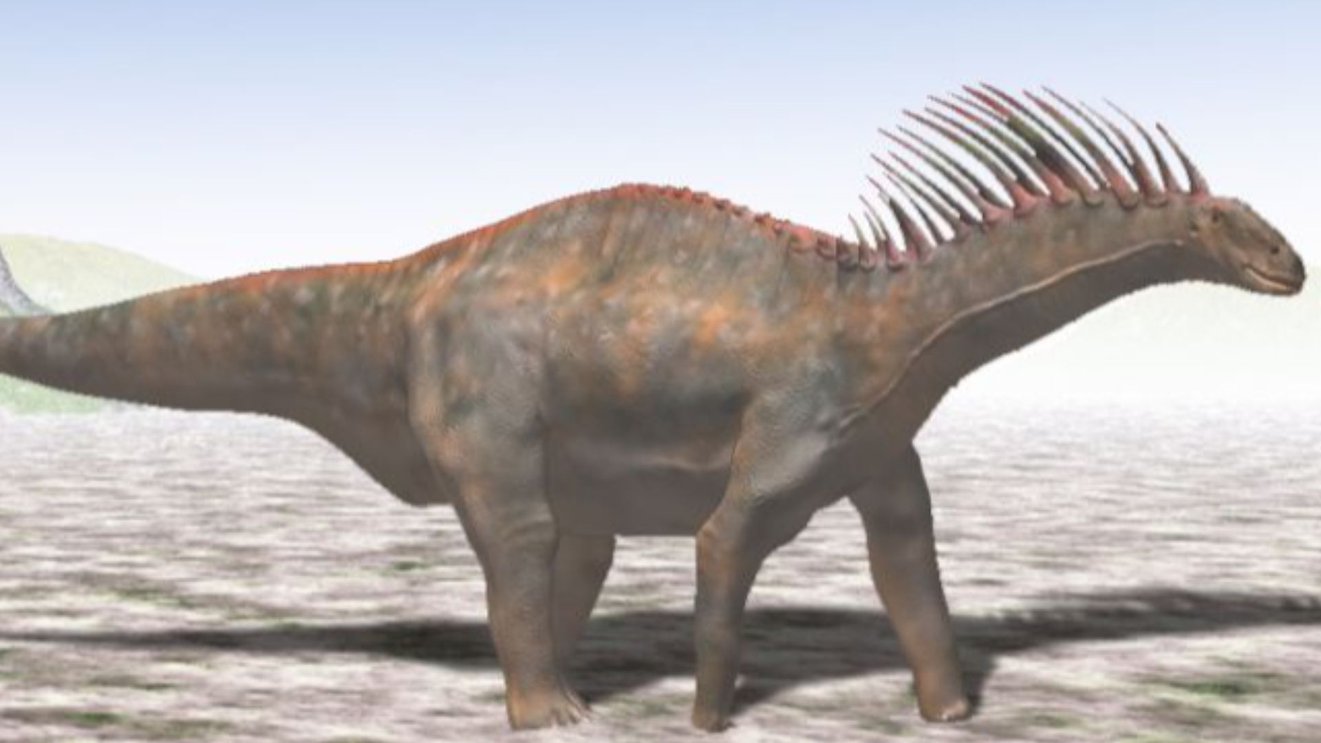 19. Amargasaurus