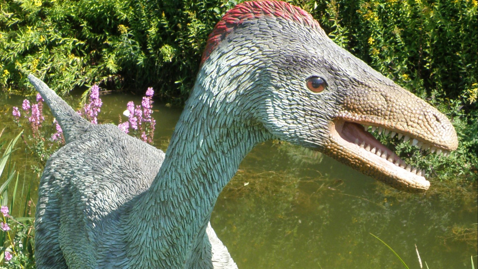 20. Troodon