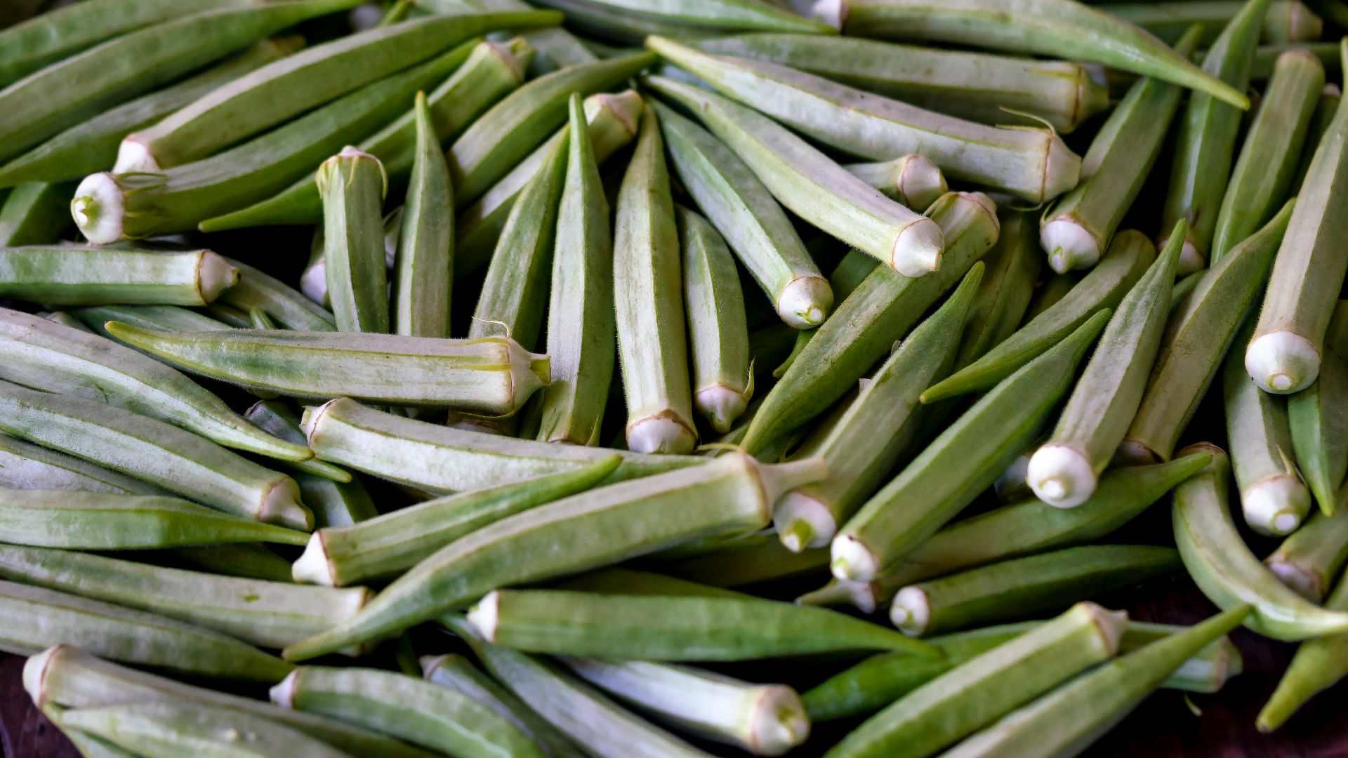 6. Okra