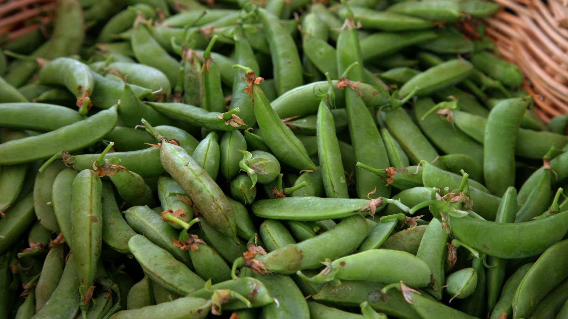 3. Pois mange-tout