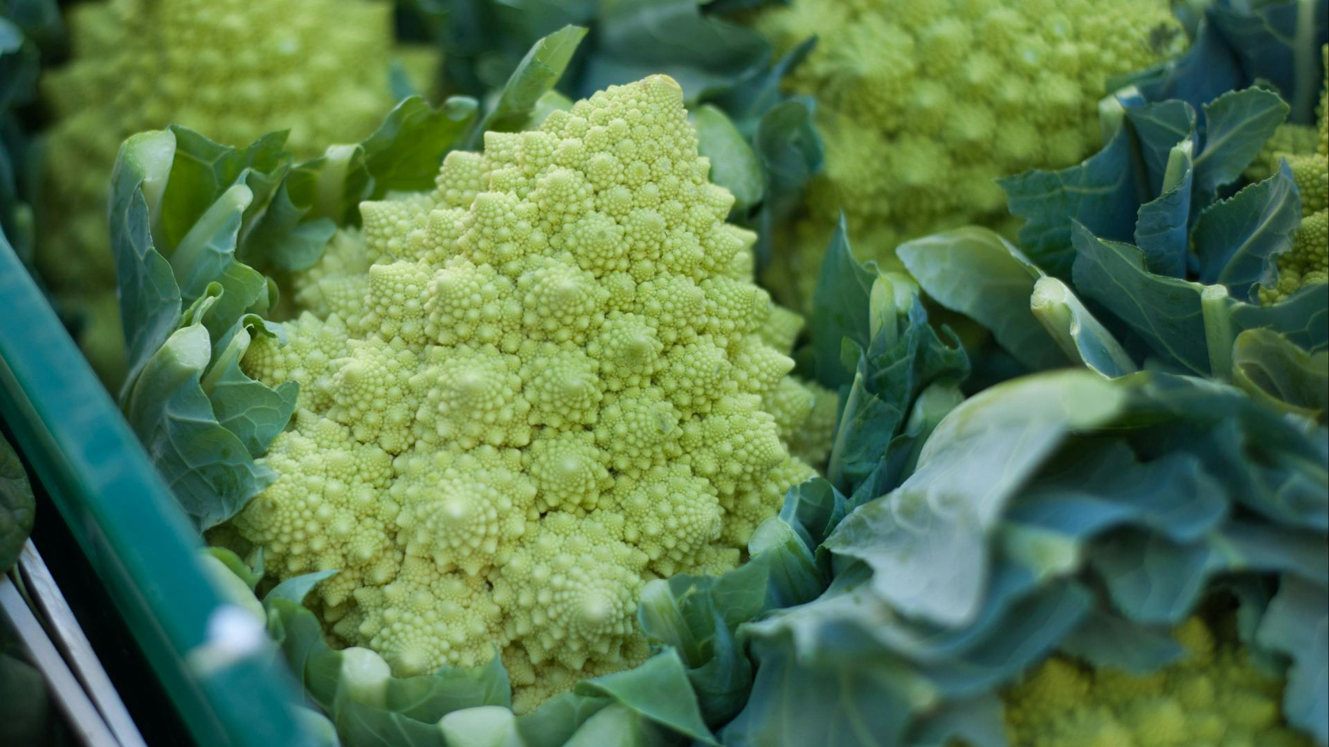 9. Romanesco