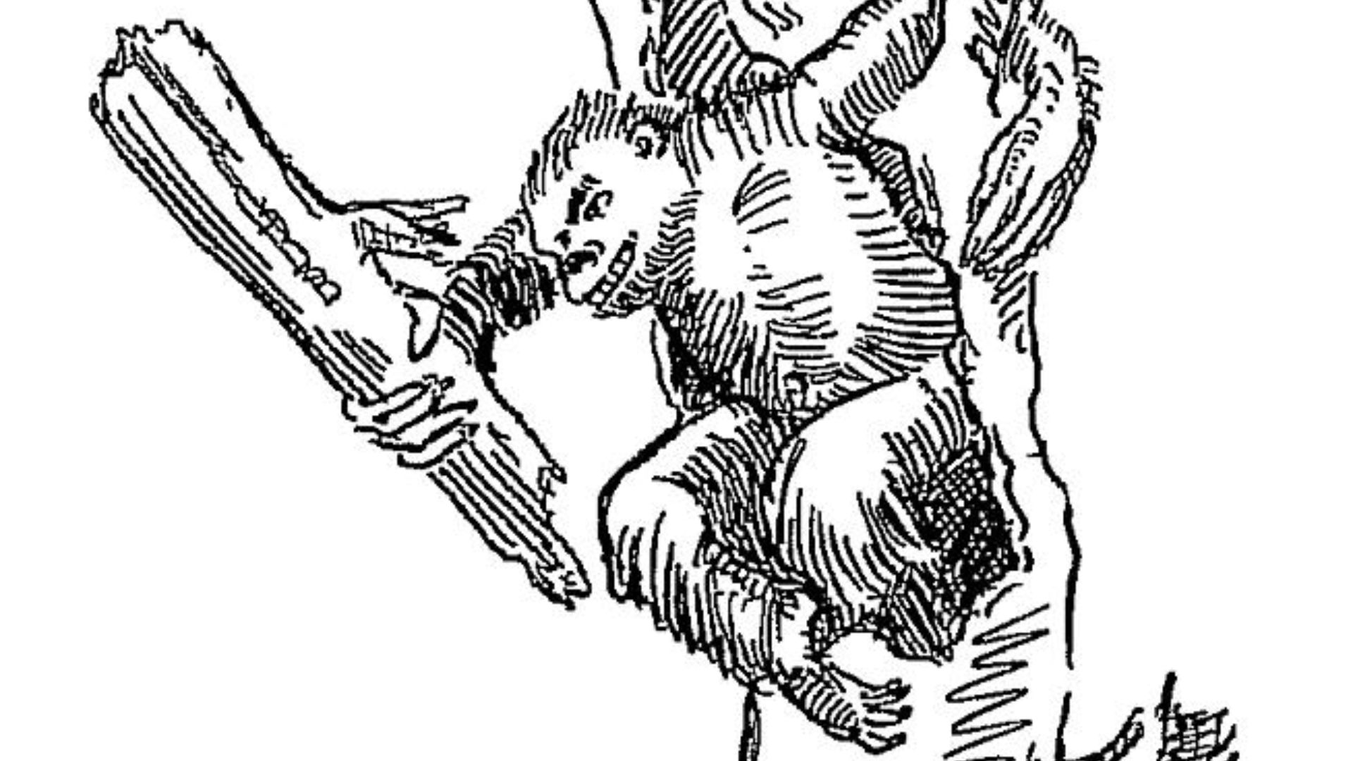 16. L'agropelle de la légende algonquienne