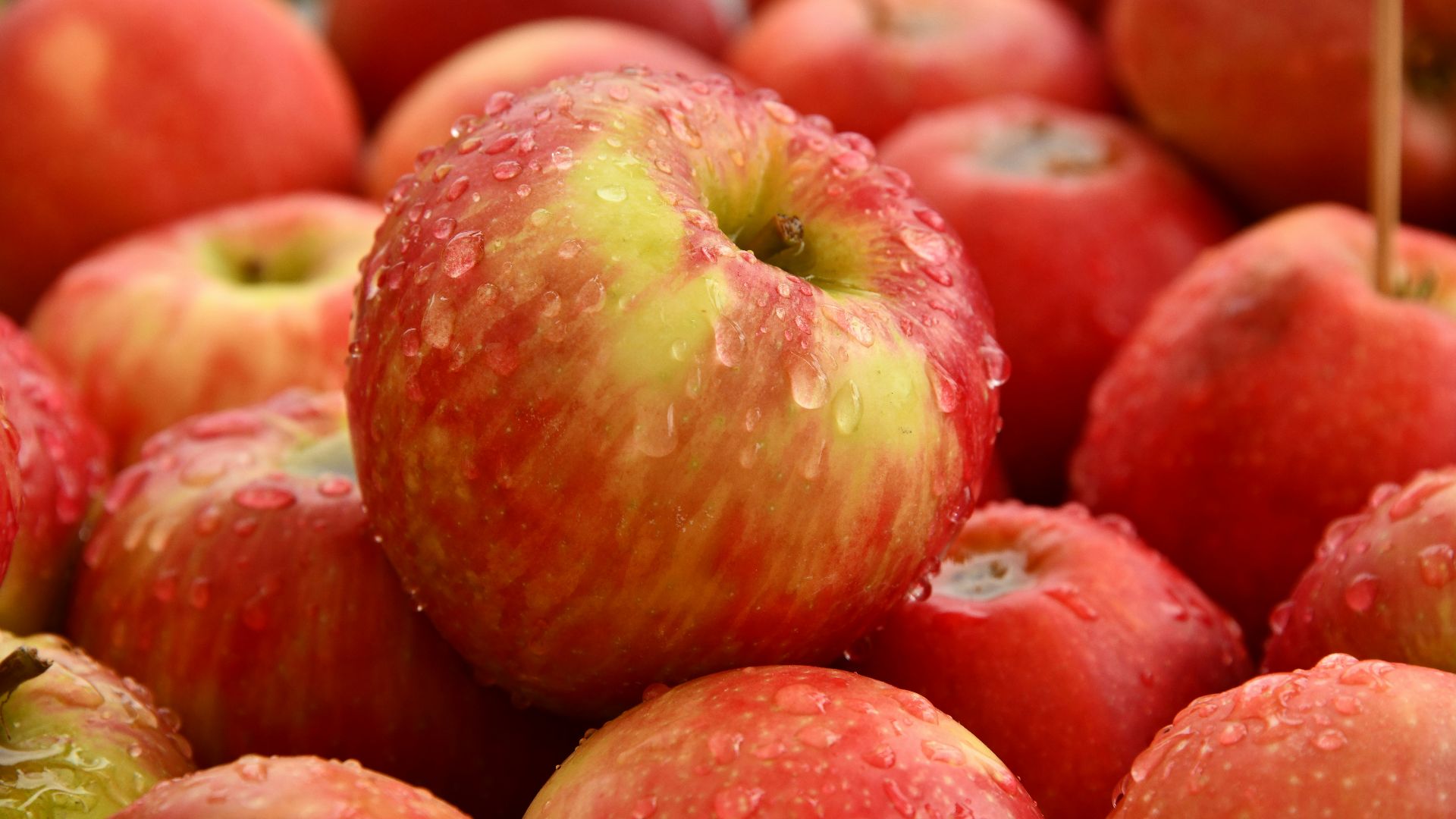 13. Pommes