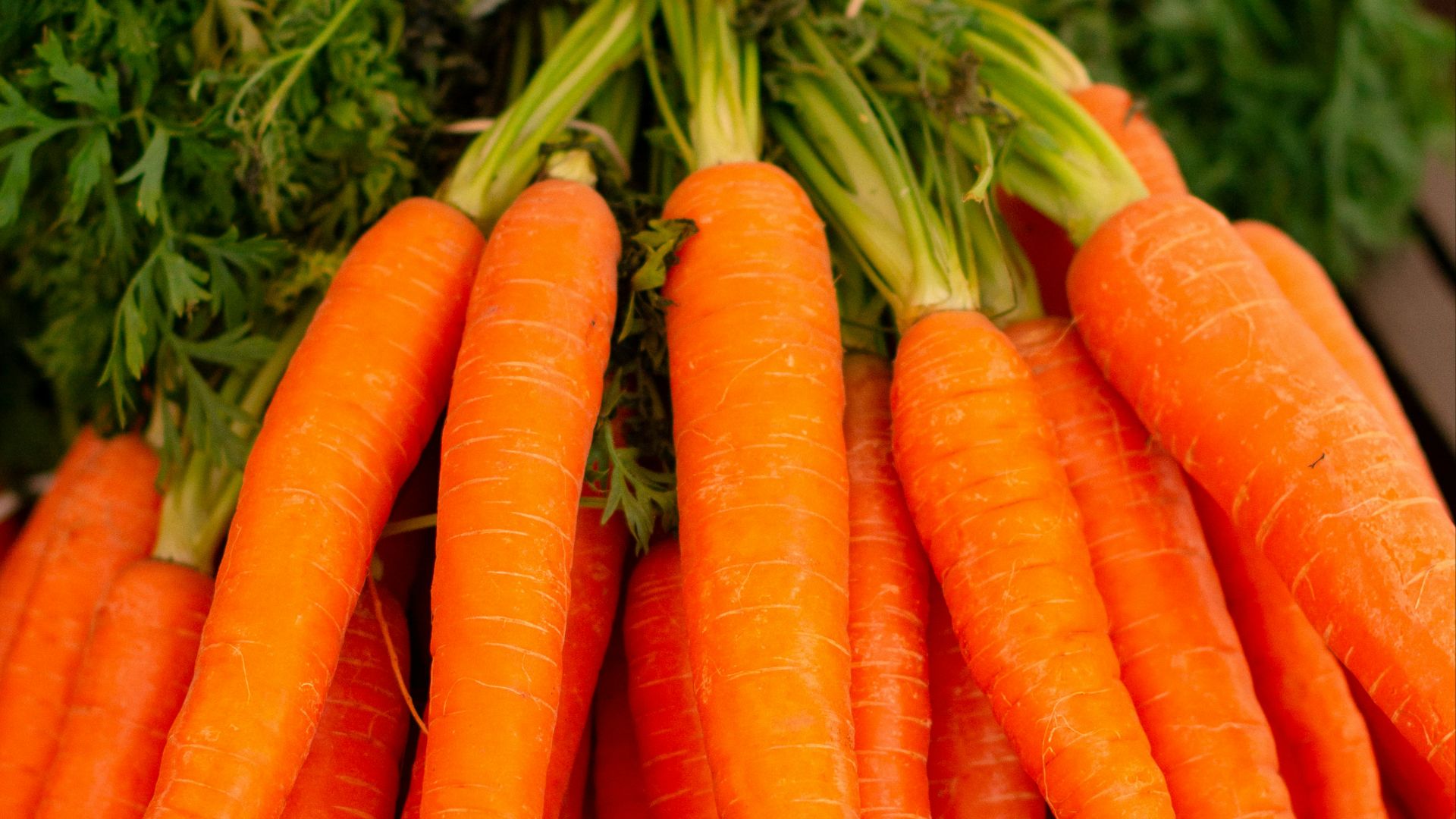 17. Carottes