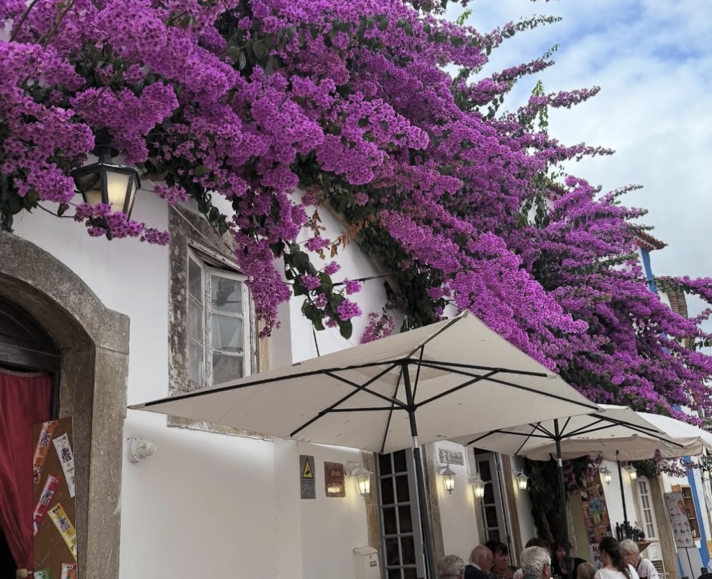 Terrasse et fleurs