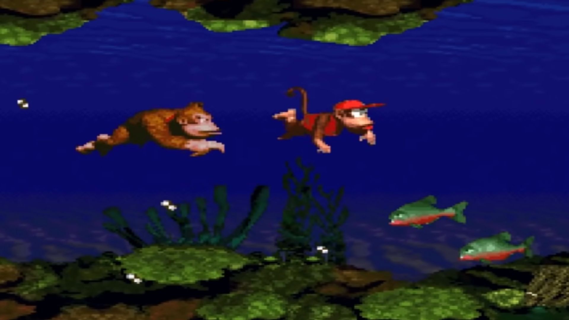19. Donkey Kong Country